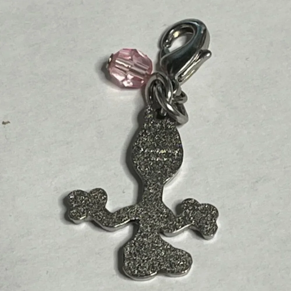 Disney Parks Dangle Charm 
